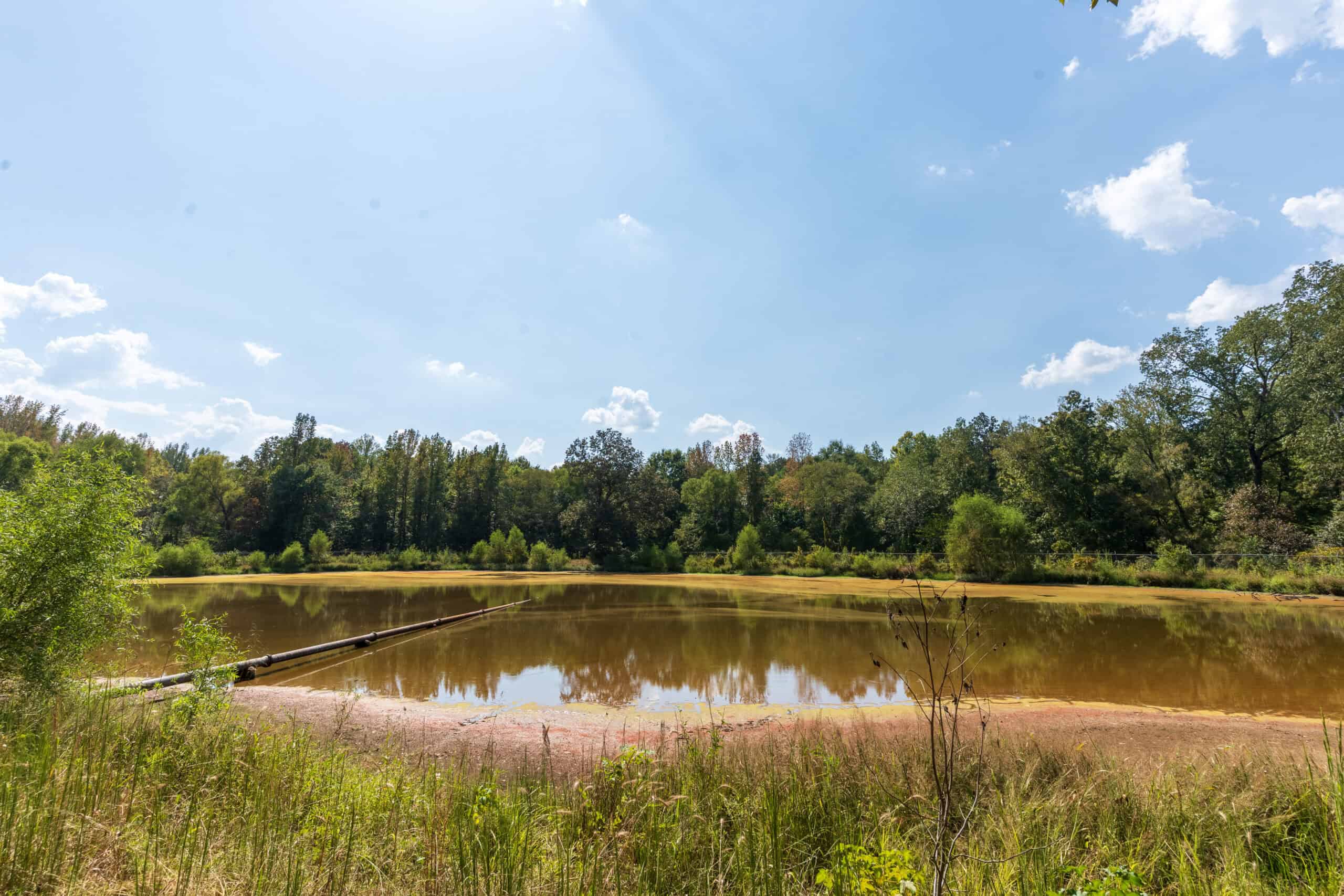 Premier Hunting & Recreation Property in Middleton, TN