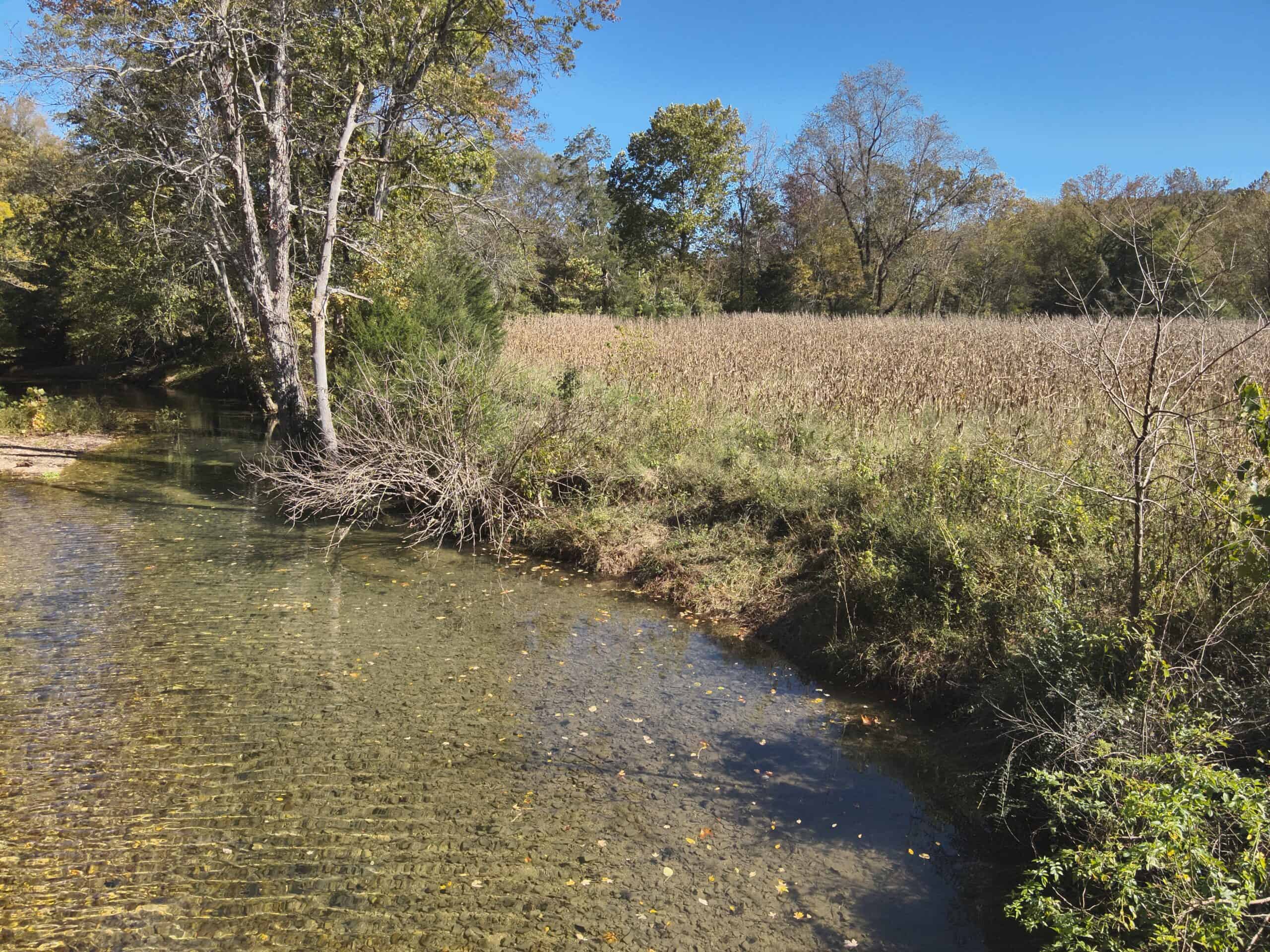 Hunting Land With Vintage Farm For Sale in Linden, Tennessee