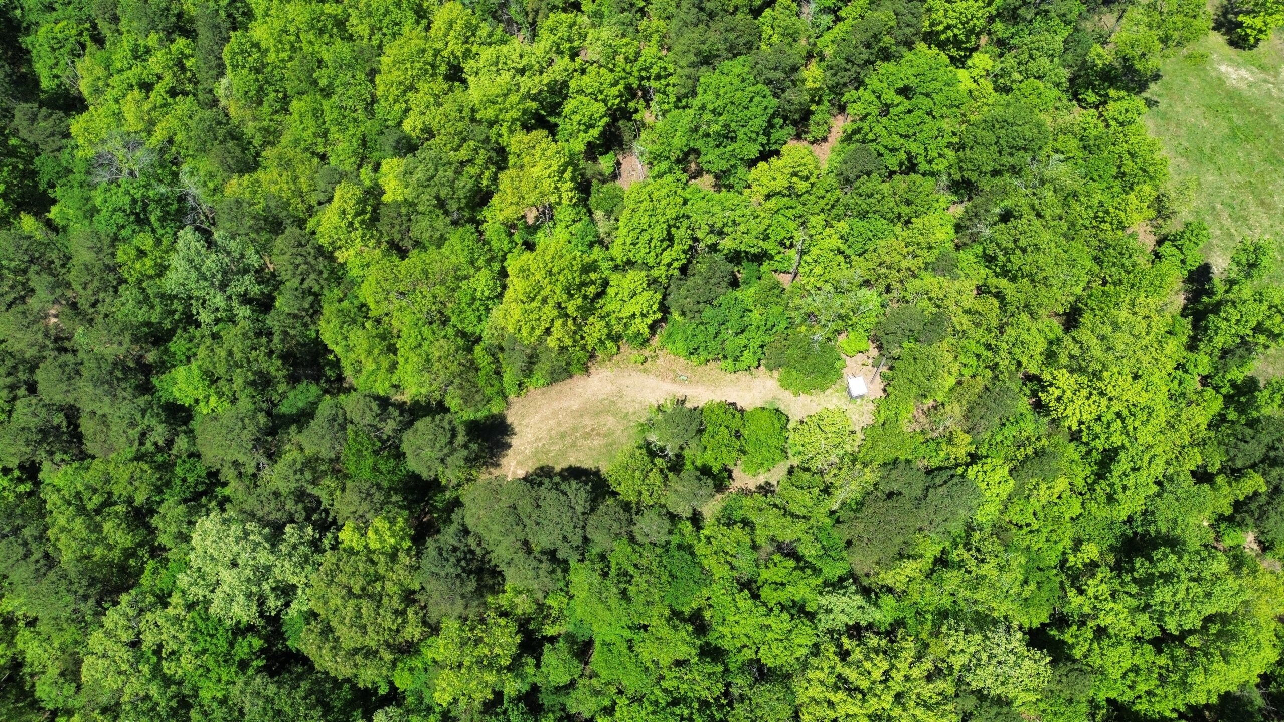 COUNTRY HOME AND HUNTING RANCH FOR SALE IN ARKANSAS