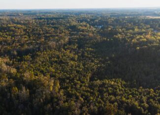 53-Acre Duck Hunting Land on Chocowinity Creek