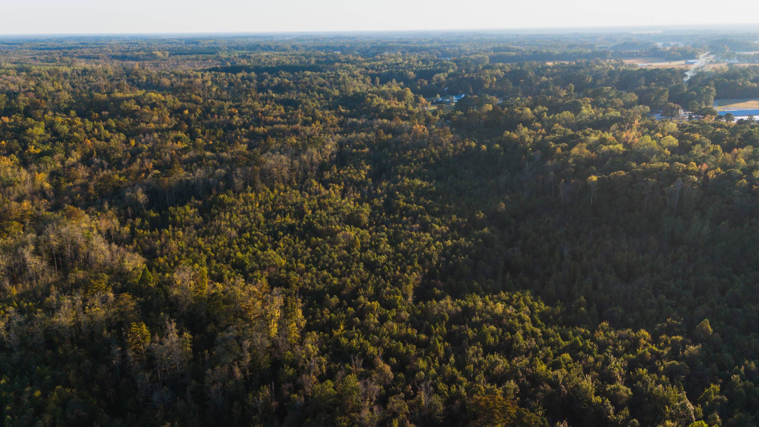 53-Acre Duck Hunting Land on Chocowinity Creek