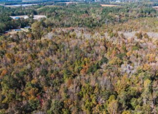 53-Acre Duck Hunting Land on Chocowinity Creek