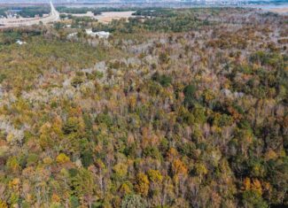 53-Acre Duck Hunting Land on Chocowinity Creek