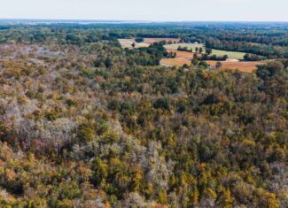 53-Acre Duck Hunting Land on Chocowinity Creek