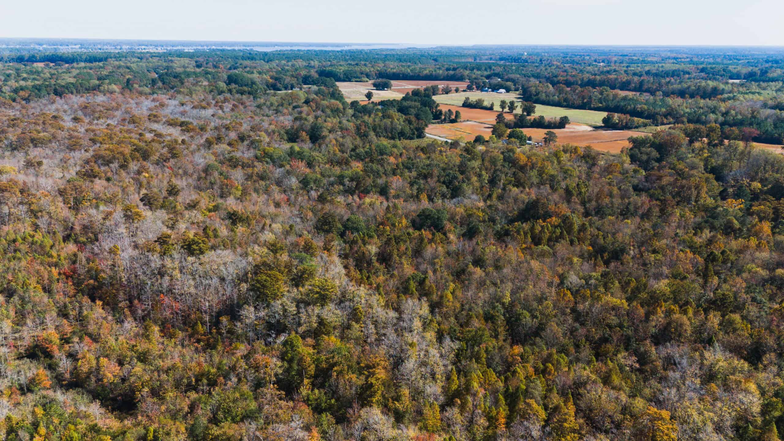 53-Acre Duck Hunting Land on Chocowinity Creek