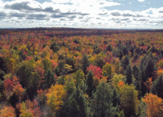 140 Acre Parcel – Bradford, Maine