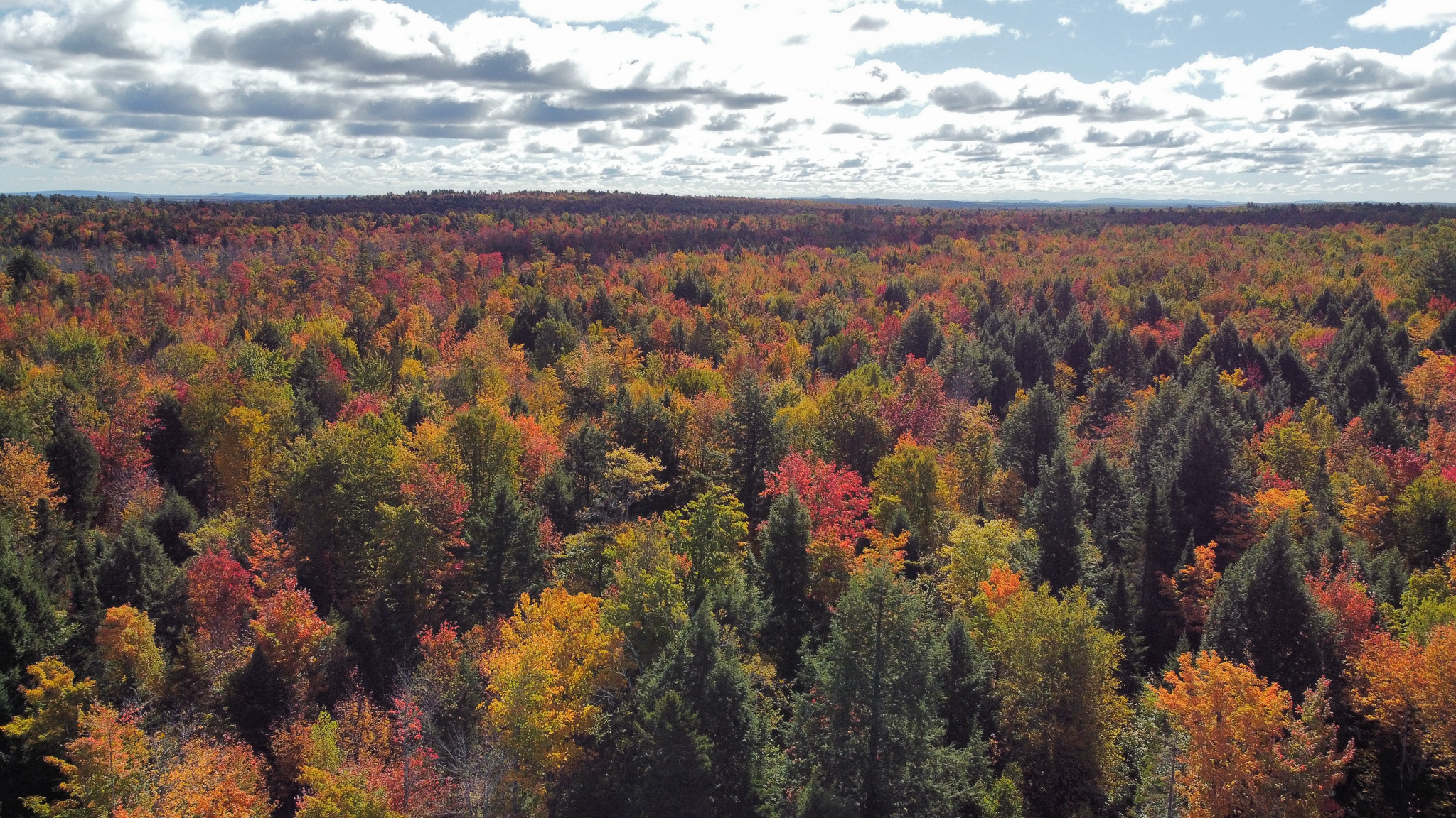 140 Acre Parcel – Bradford, Maine