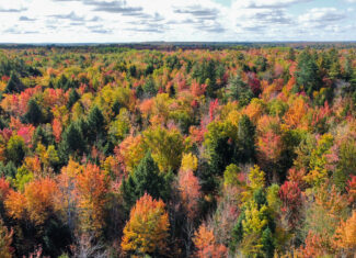 140 Acre Parcel – Bradford, Maine