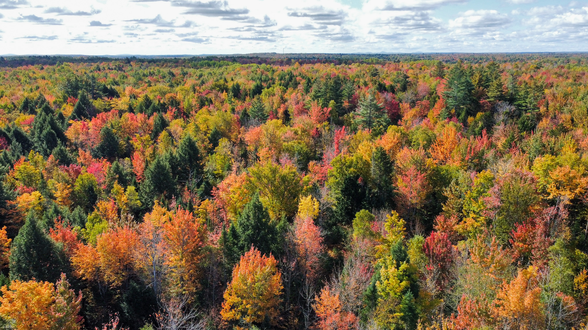 140 Acre Parcel – Bradford, Maine