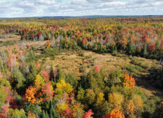 140 Acre Parcel – Bradford, Maine
