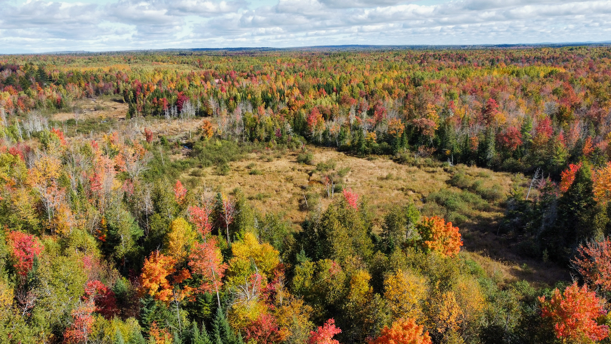 140 Acre Parcel – Bradford, Maine