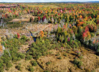 140 Acre Parcel – Bradford, Maine