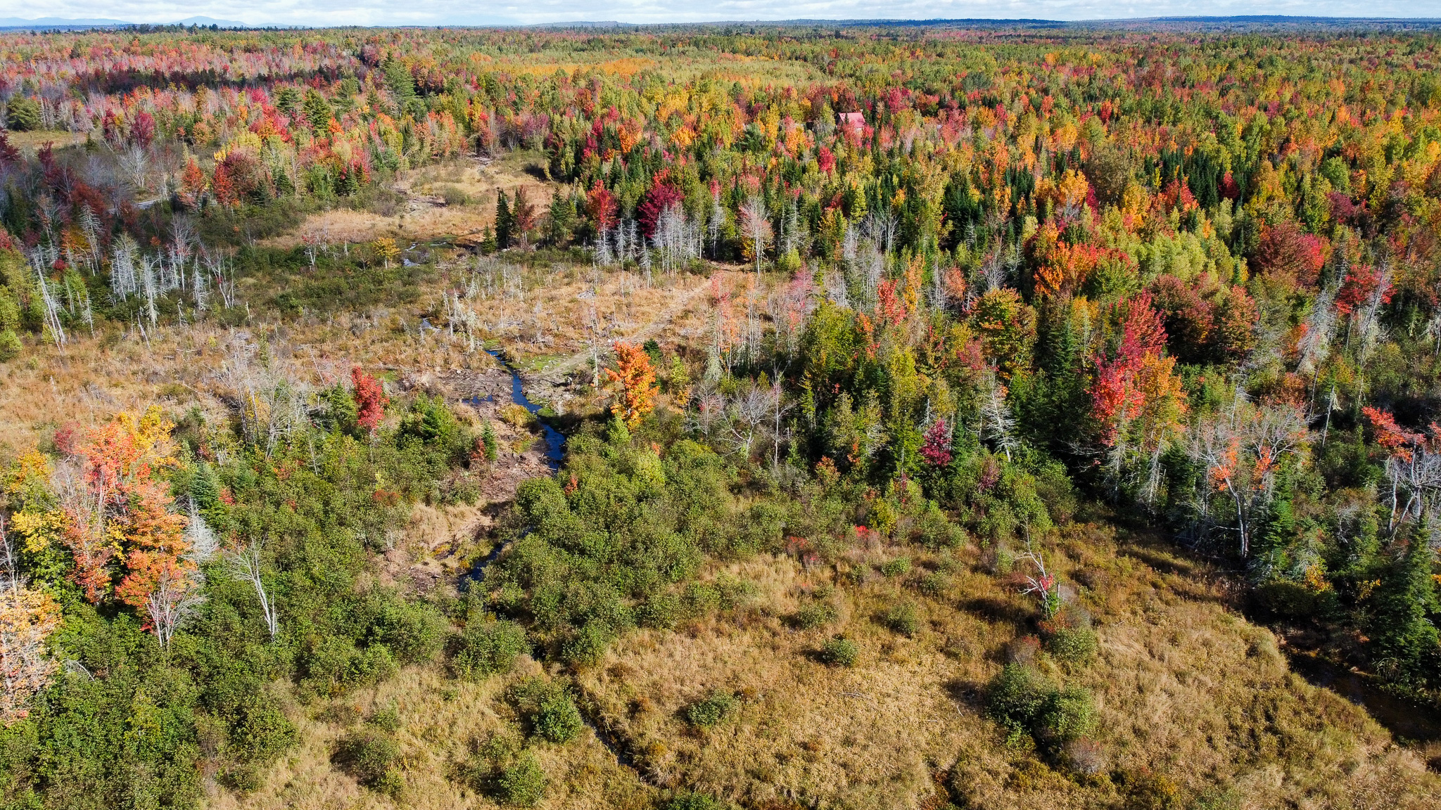 140 Acre Parcel – Bradford, Maine