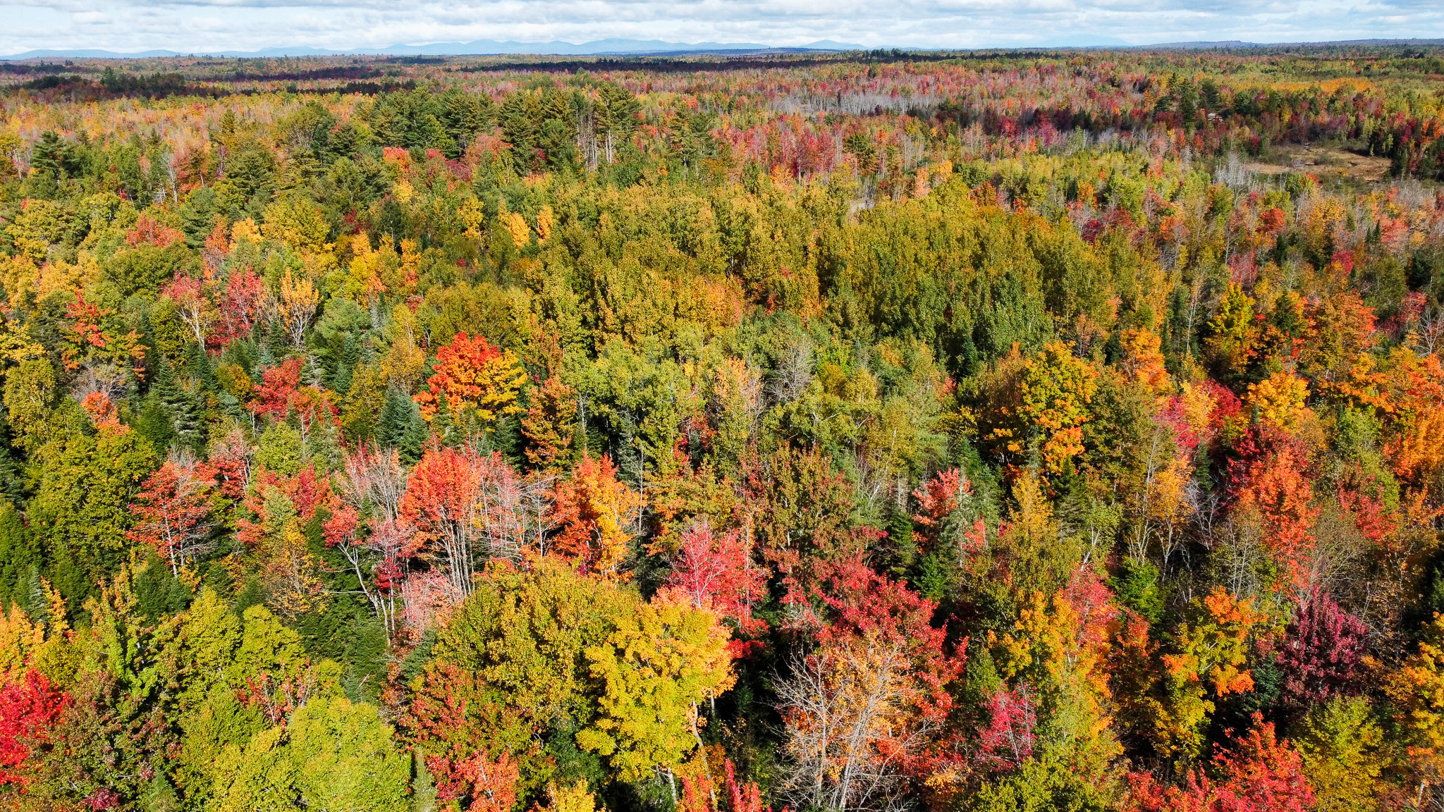 140 Acre Parcel – Bradford, Maine