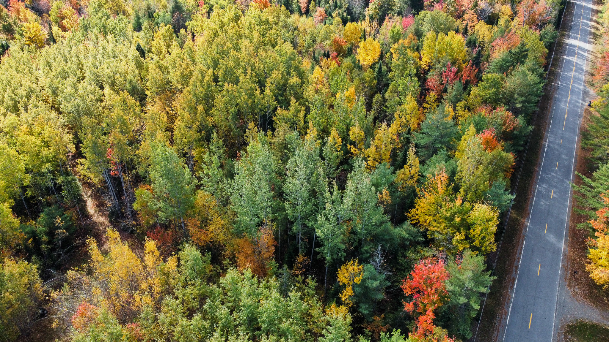 140 Acre Parcel – Bradford, Maine