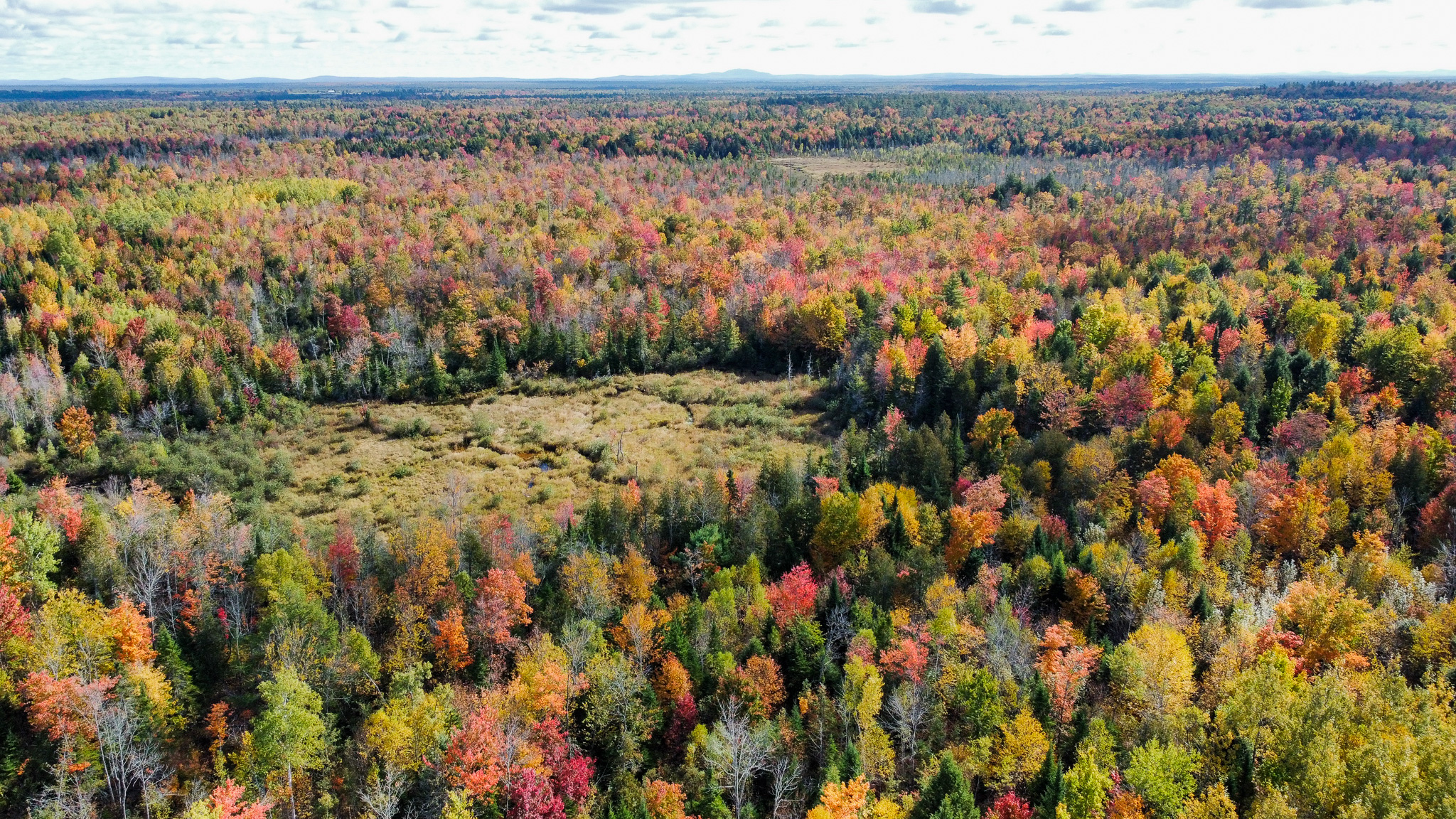 140 Acre Parcel – Bradford, Maine