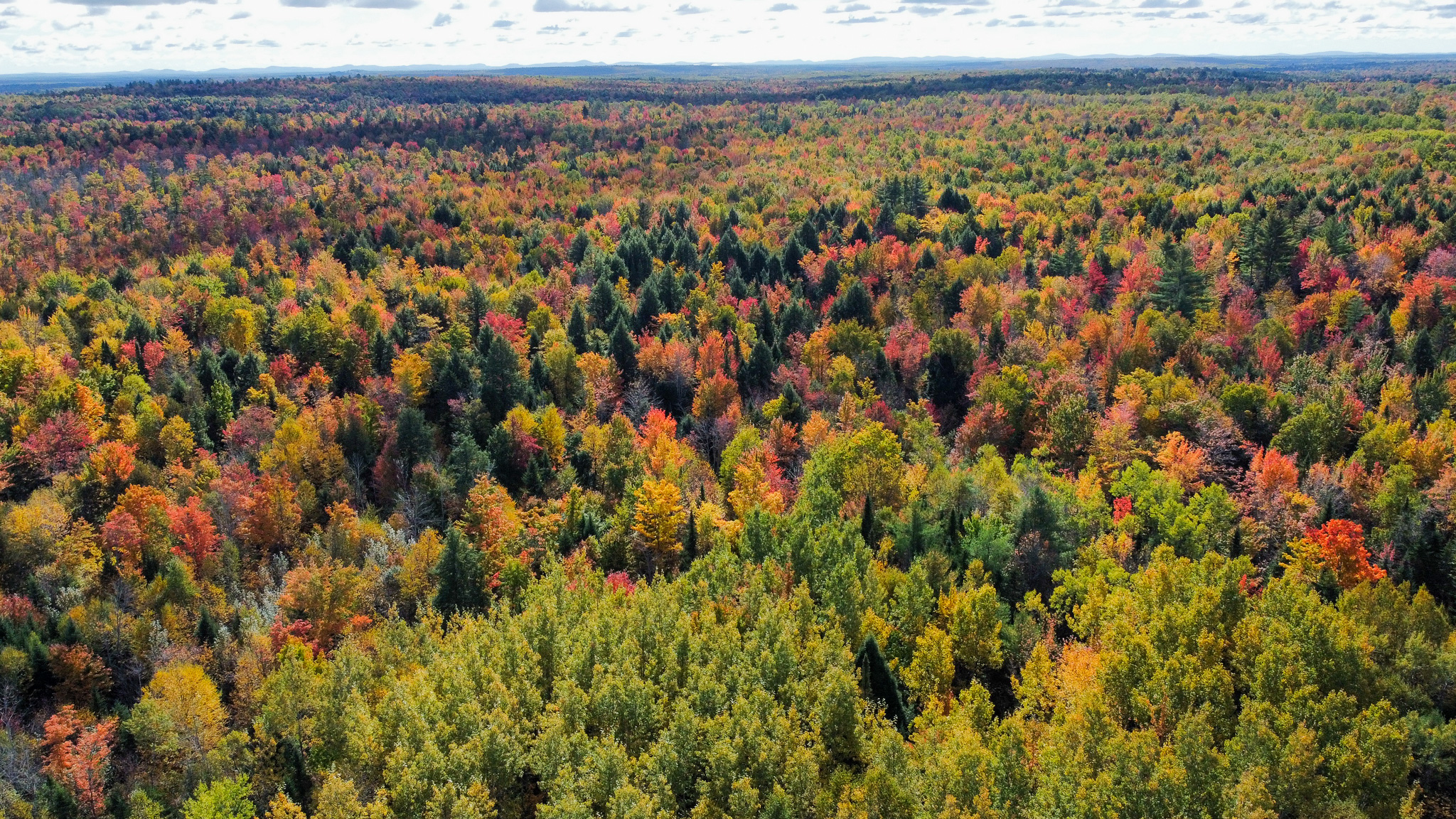 140 Acre Parcel – Bradford, Maine