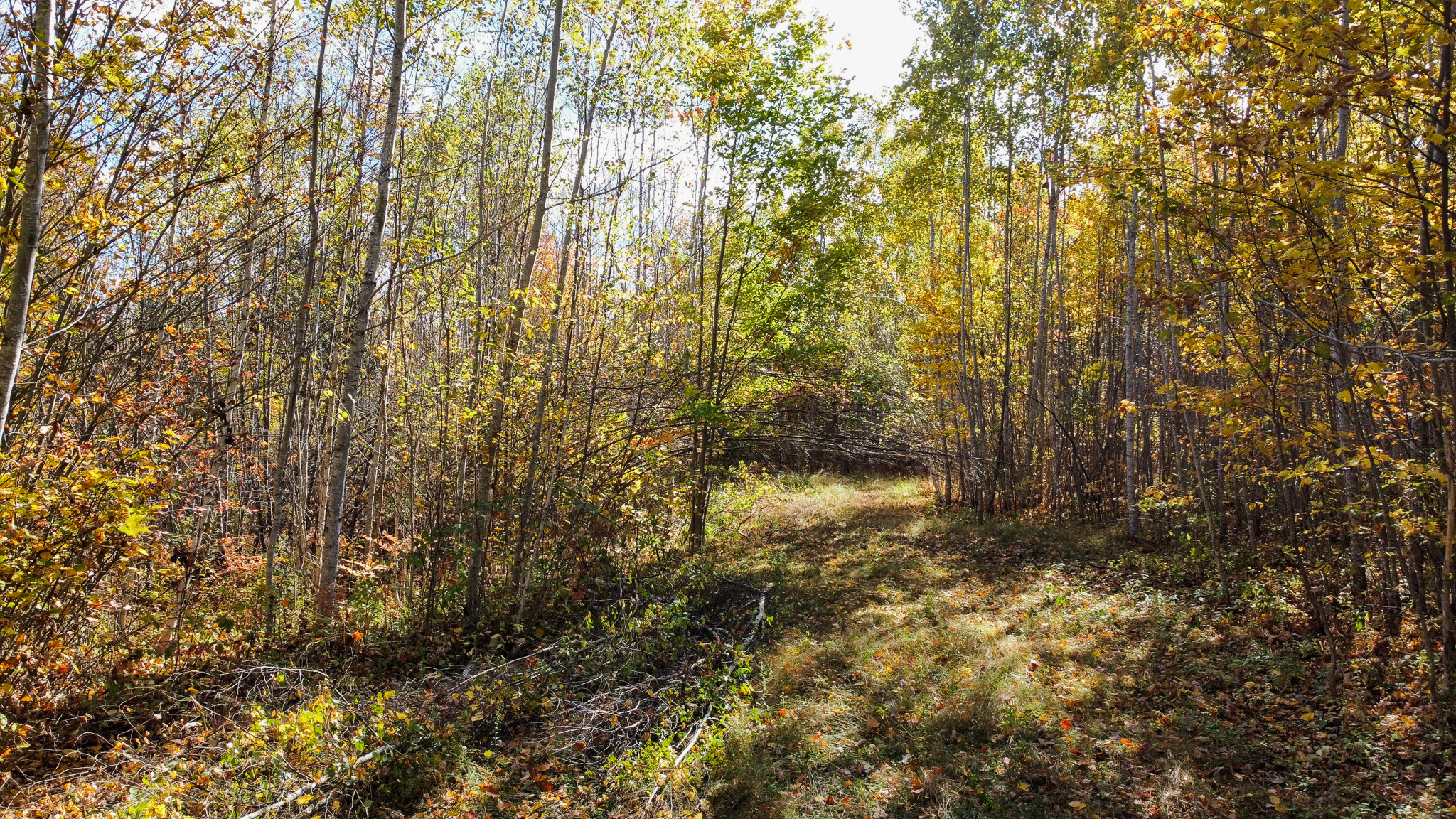 140 Acre Parcel – Bradford, Maine