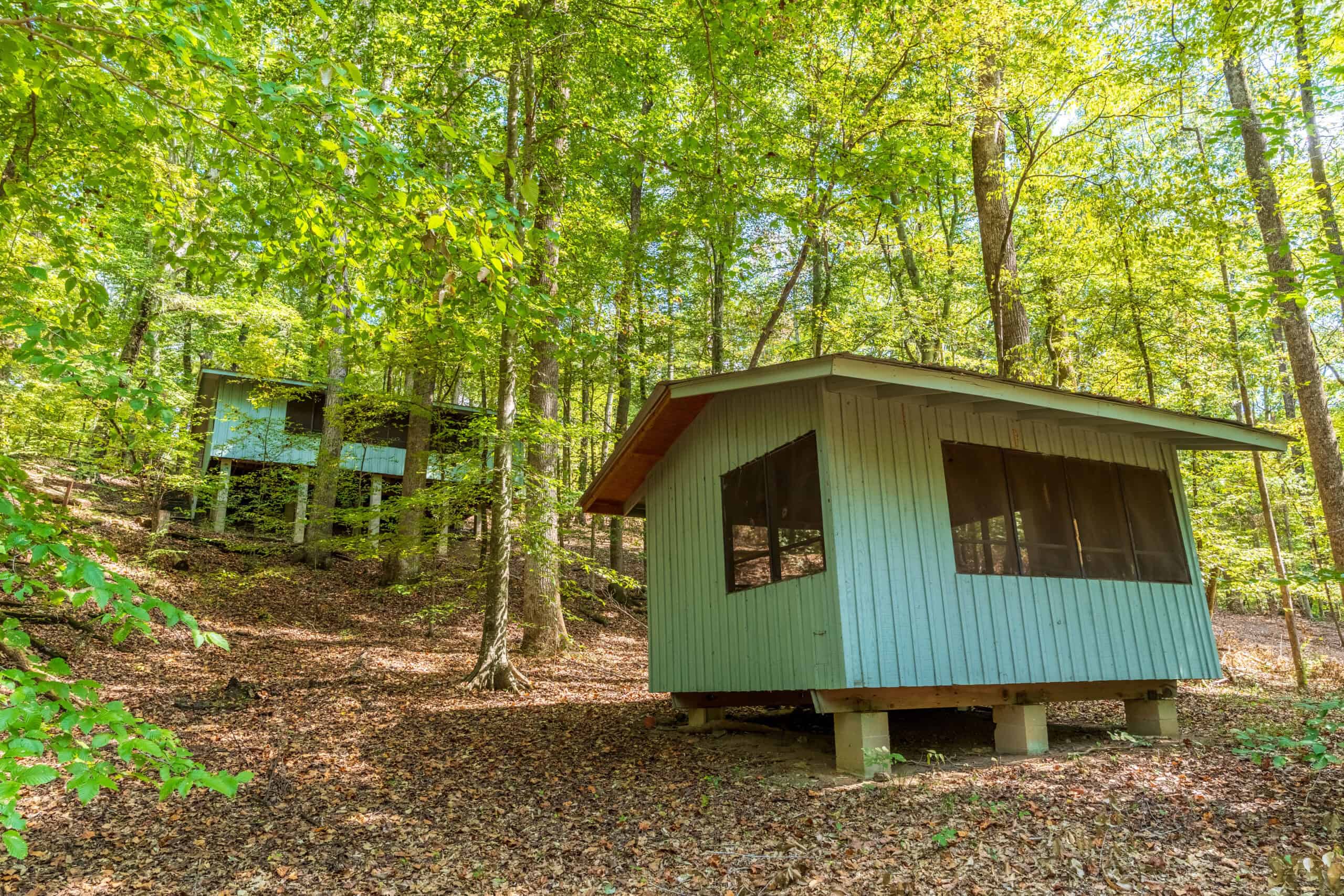 Premier Hunting & Recreation Property in Middleton, TN