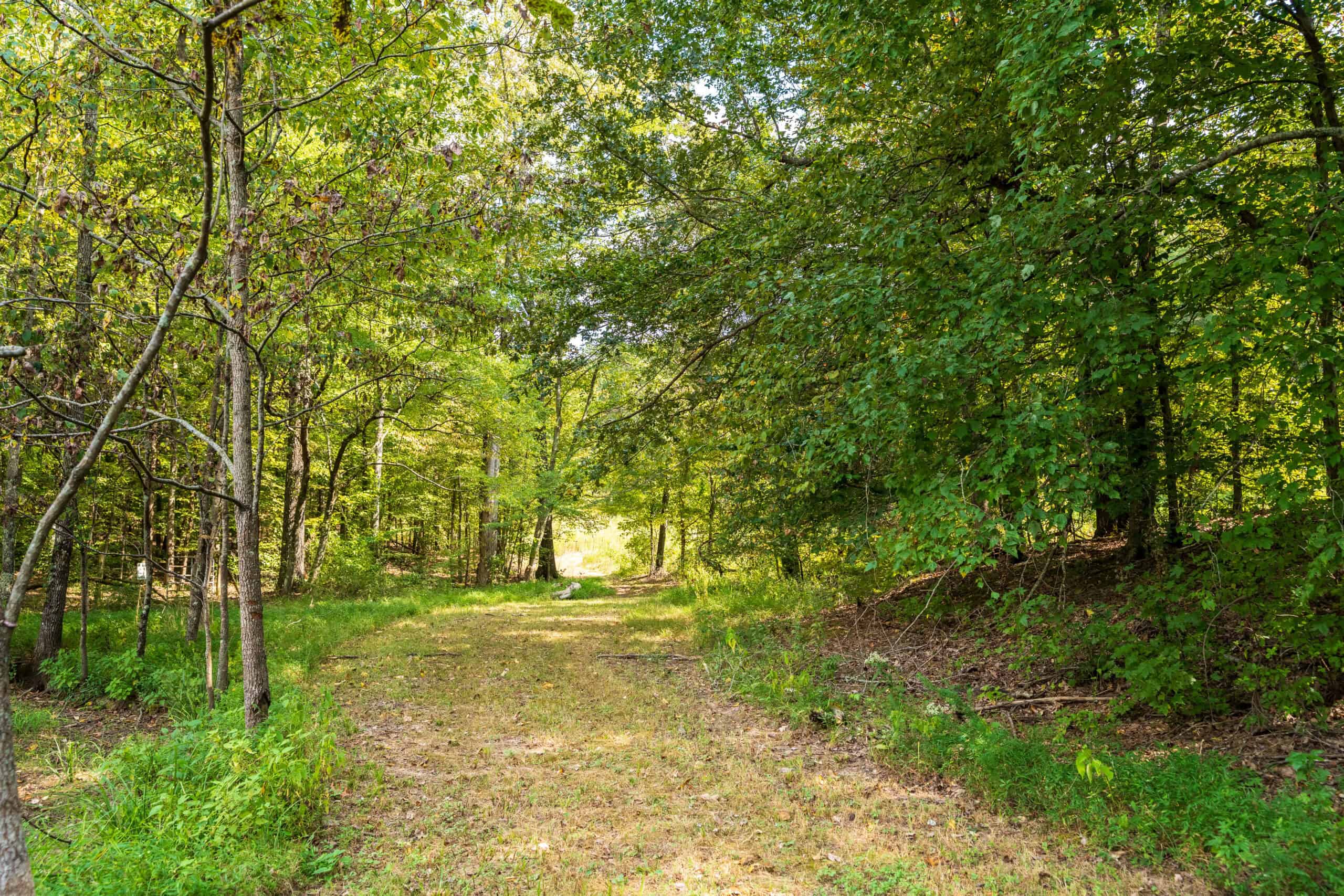 Premier Hunting & Recreation Property in Middleton, TN