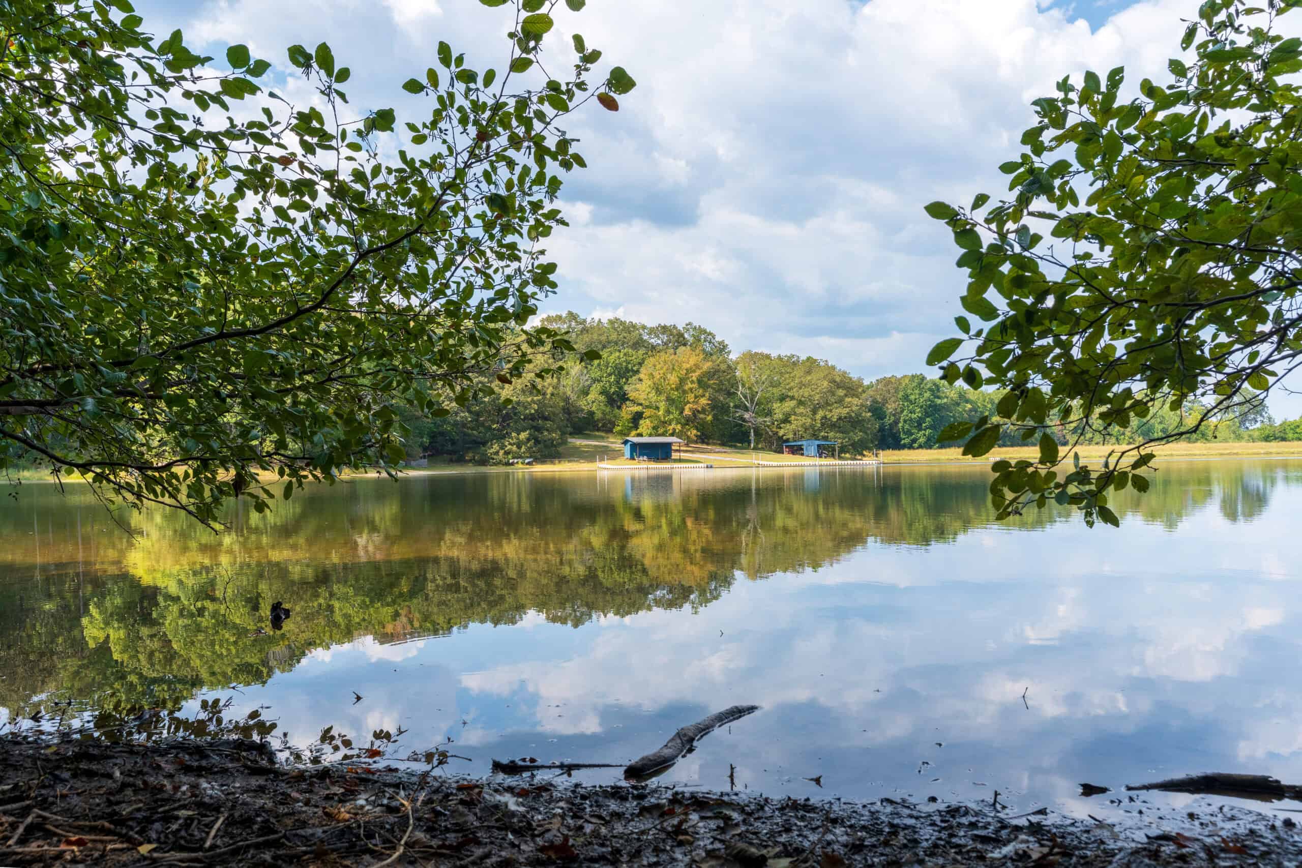 Premier Hunting & Recreation Property in Middleton, TN