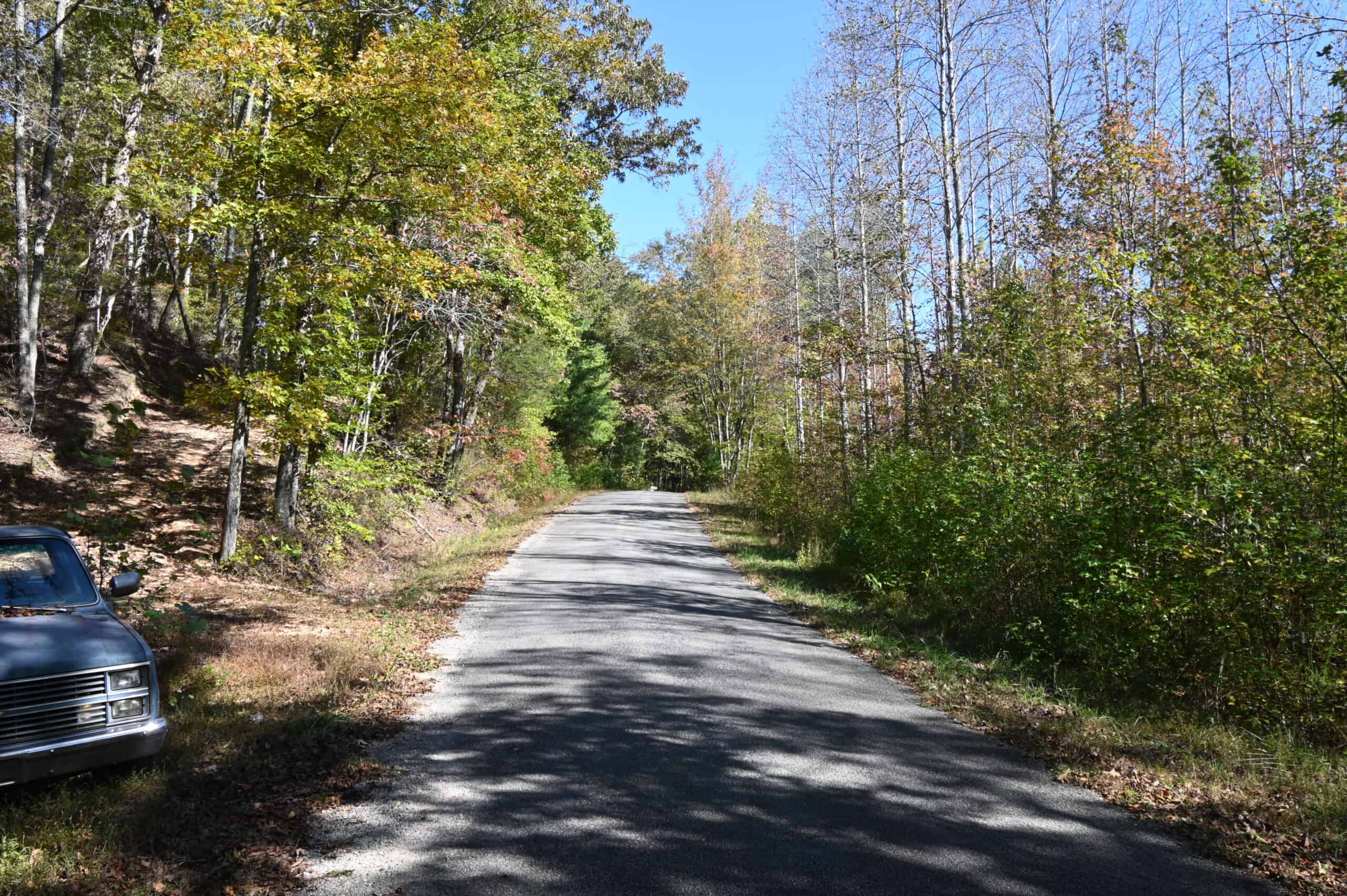 79.49 Acres Hunting and Timberland For Sale in Linden, TN
