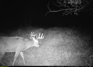 Buffalo County Riverfront Hunting Land for Sale