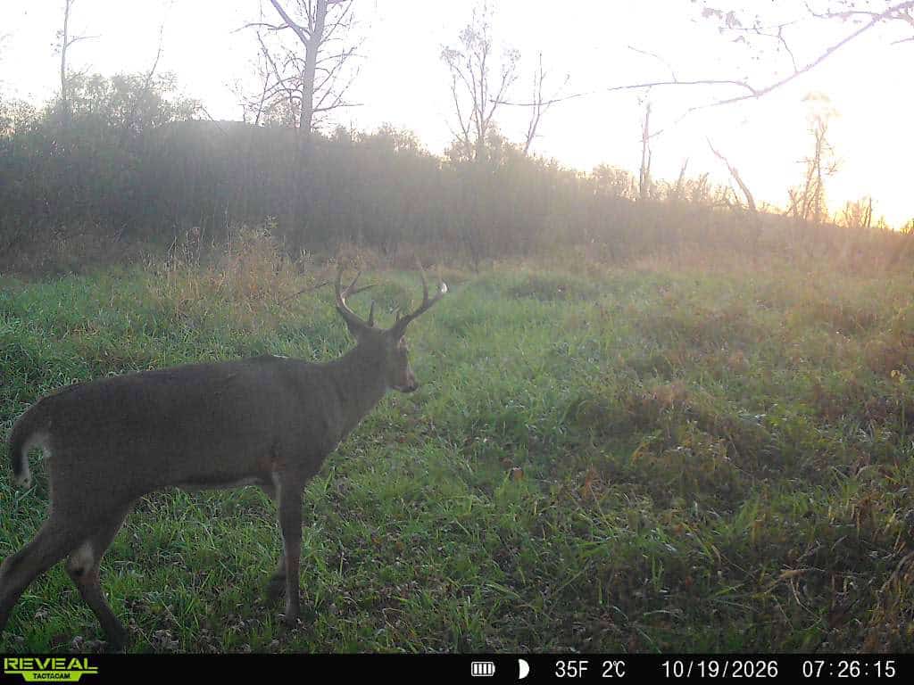 Buffalo County Riverfront Hunting Land for Sale