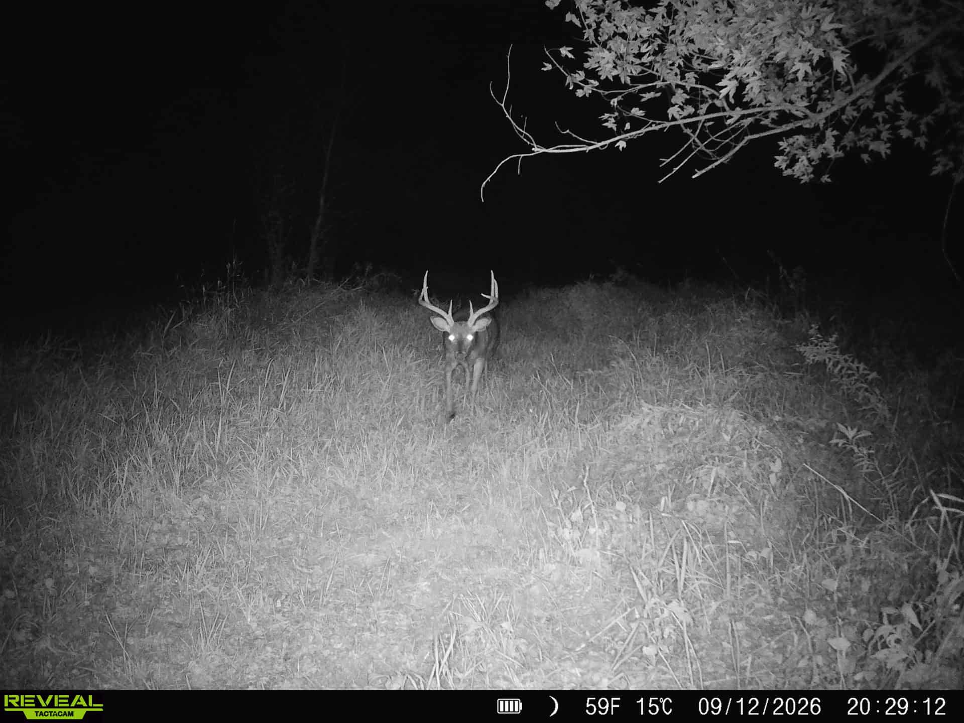 Buffalo County Riverfront Hunting Land for Sale
