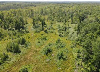 Hunting land for sale in Newaygo County Michigan