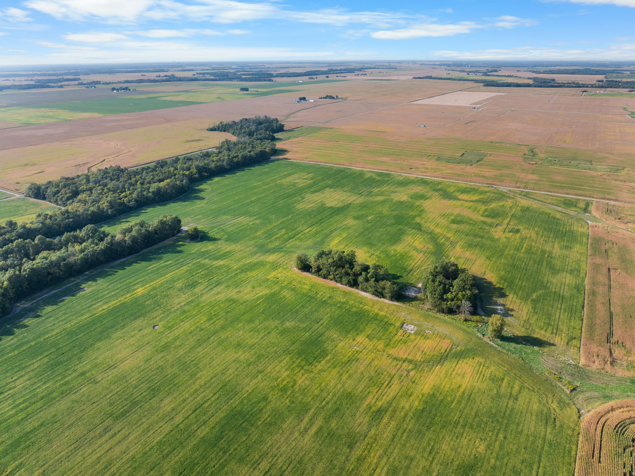 Smallwood Illinois Land Auction