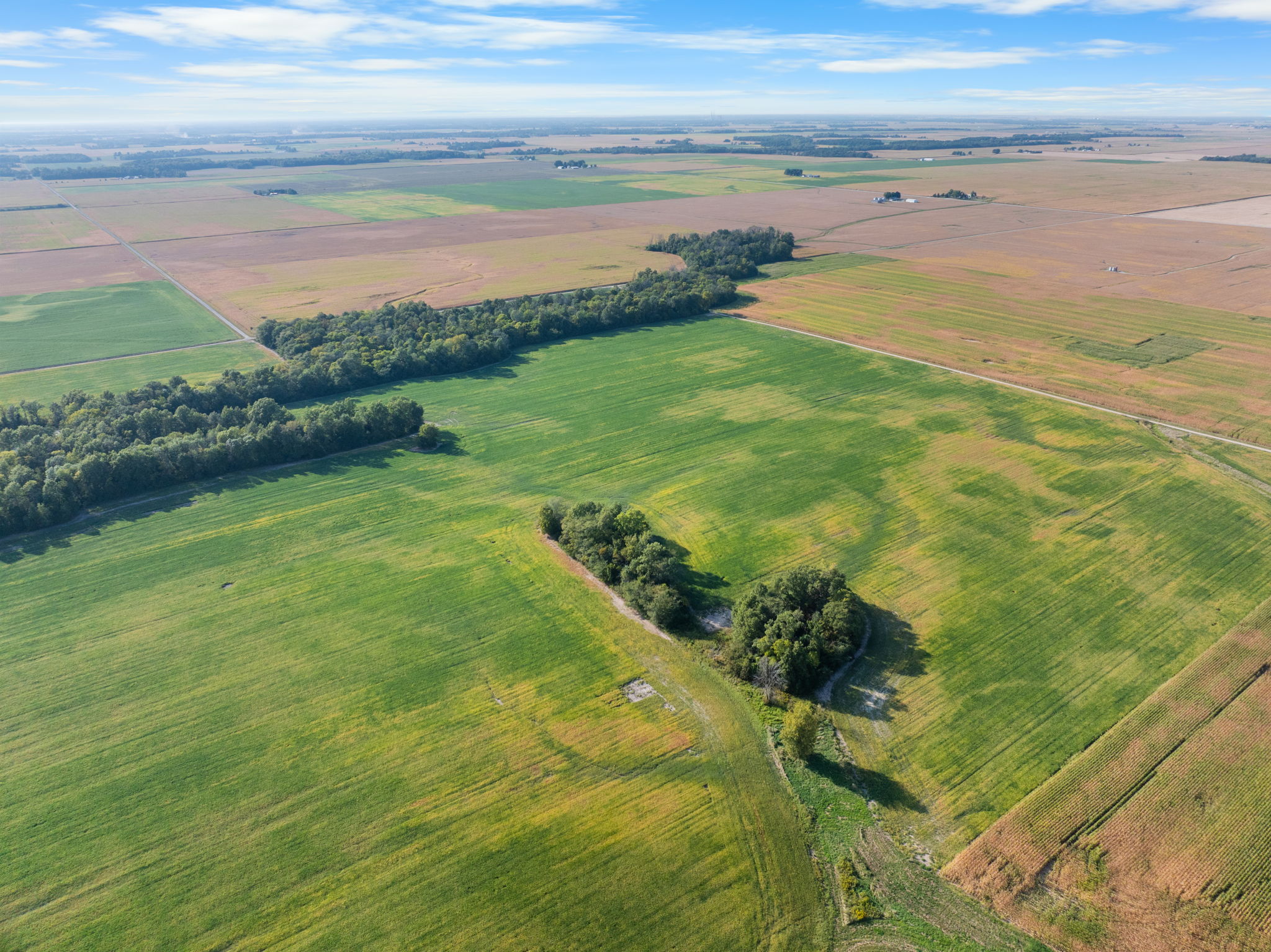 Smallwood Illinois Land Auction