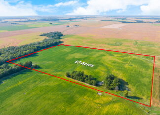 Smallwood Illinois Land Auction