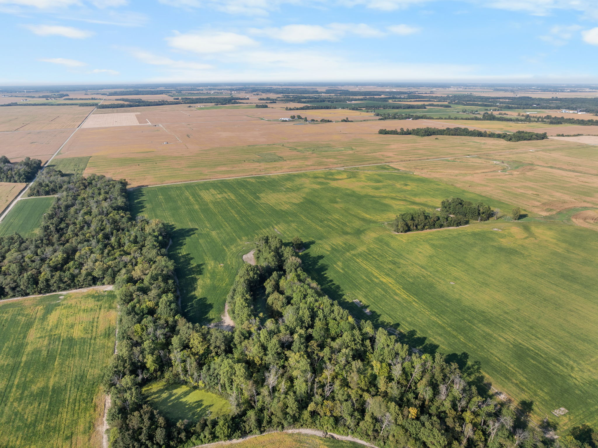 Smallwood Illinois Land Auction