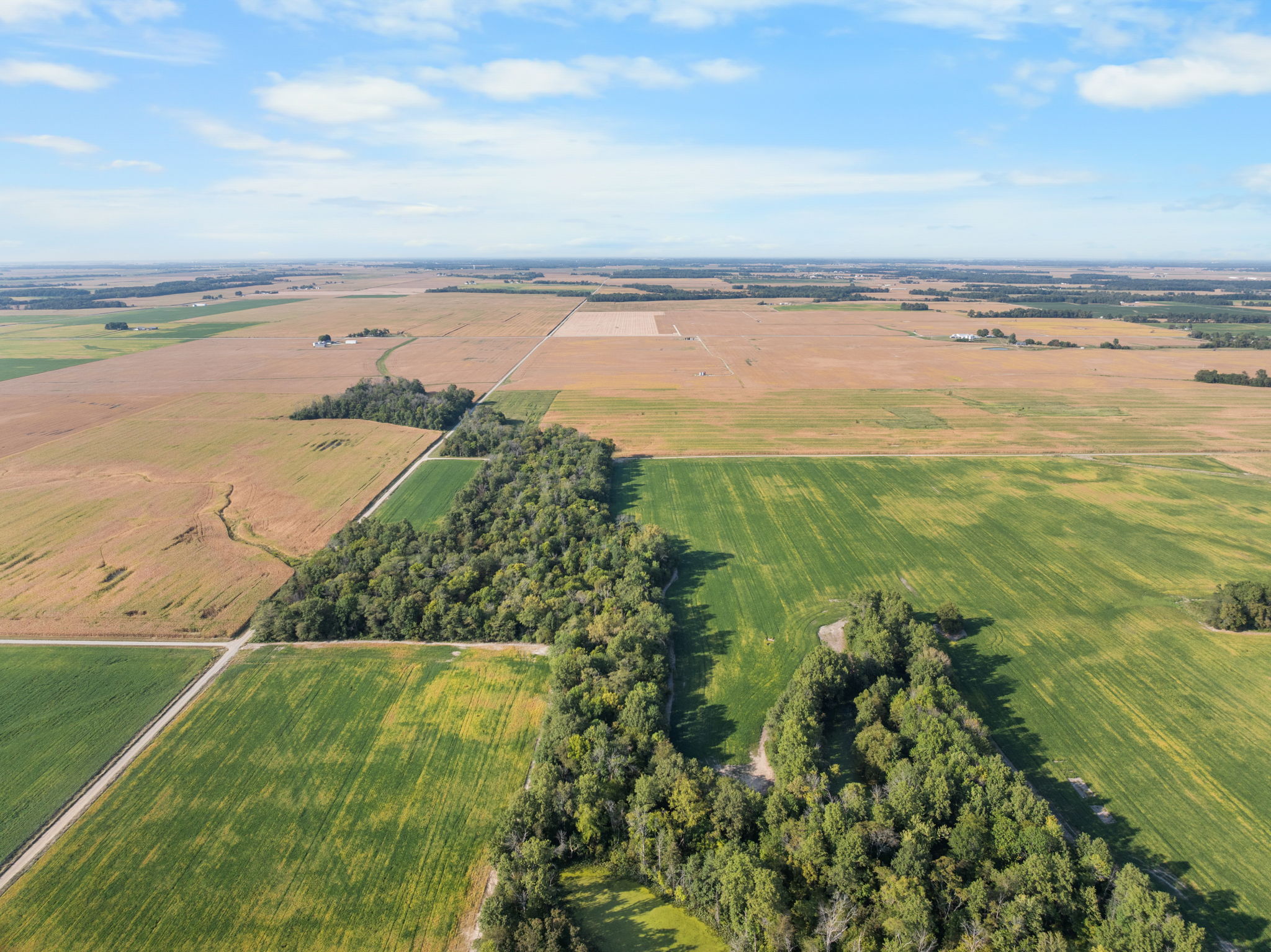 Smallwood Illinois Land Auction