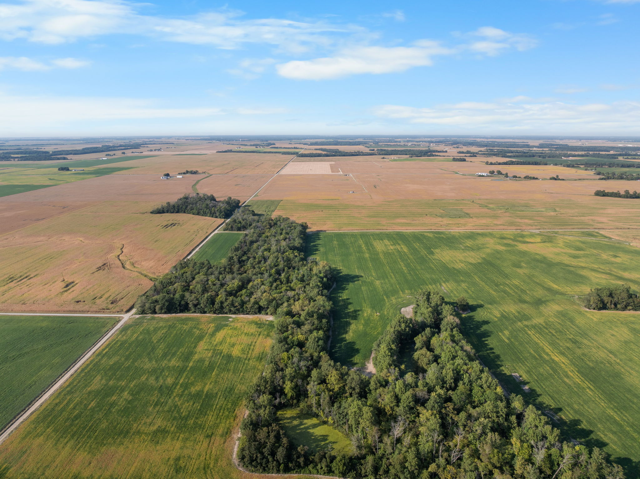 Smallwood Illinois Land Auction