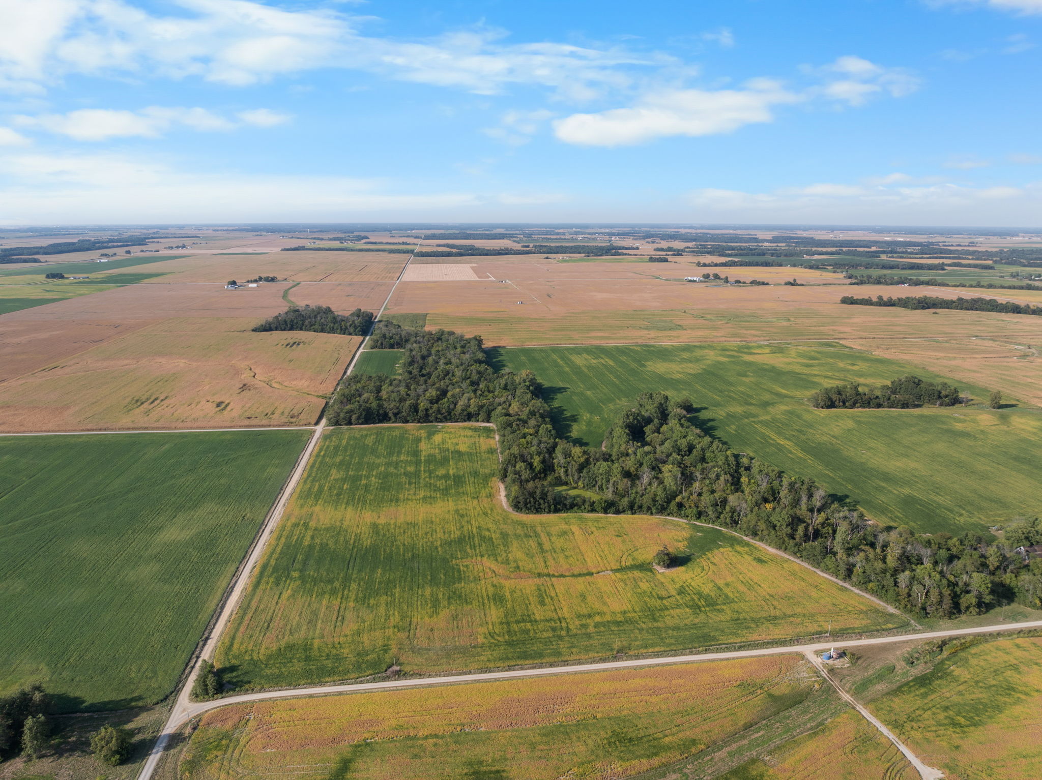 Smallwood Illinois Land Auction