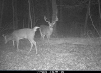 Hunting Camp for Sale in Juneau County, Wisconsin