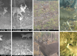 Hunting Camp for Sale in Juneau County, Wisconsin