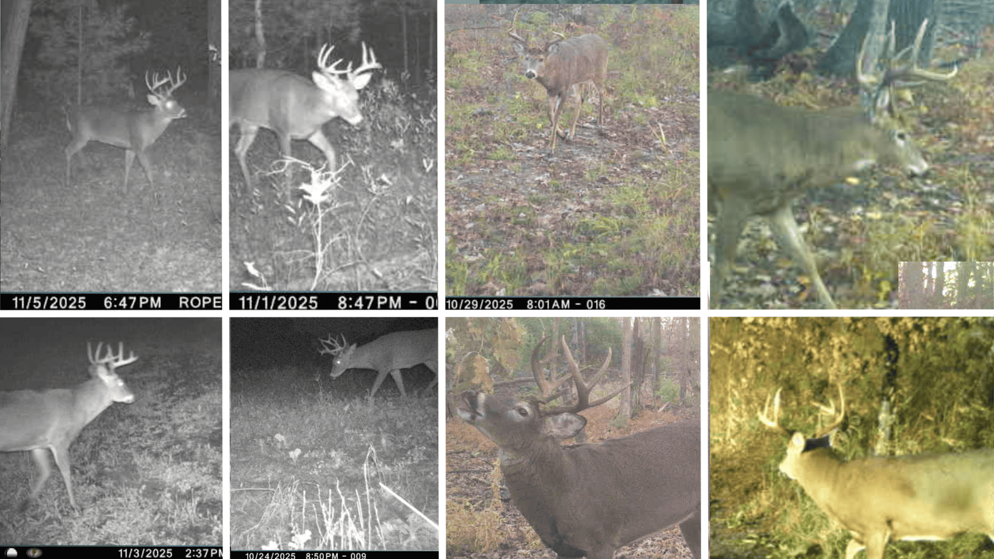 Hunting Camp for Sale in Juneau County, Wisconsin