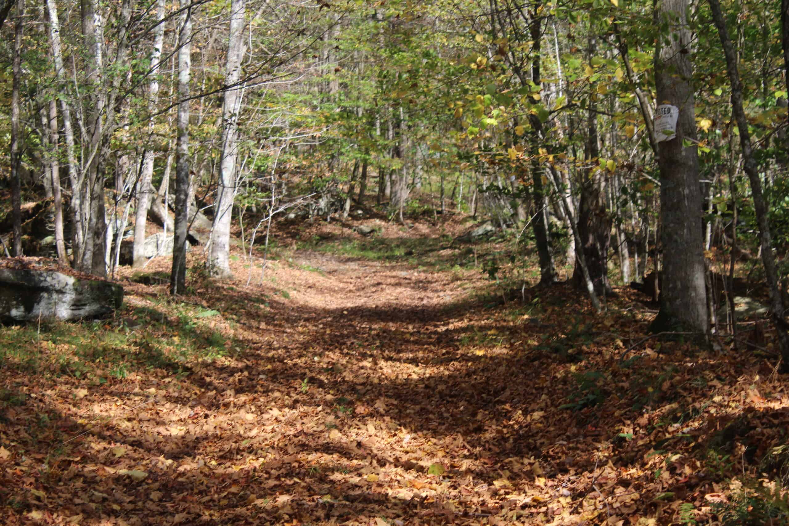 Catskills Hunting and Fishing Land For Sale in New York