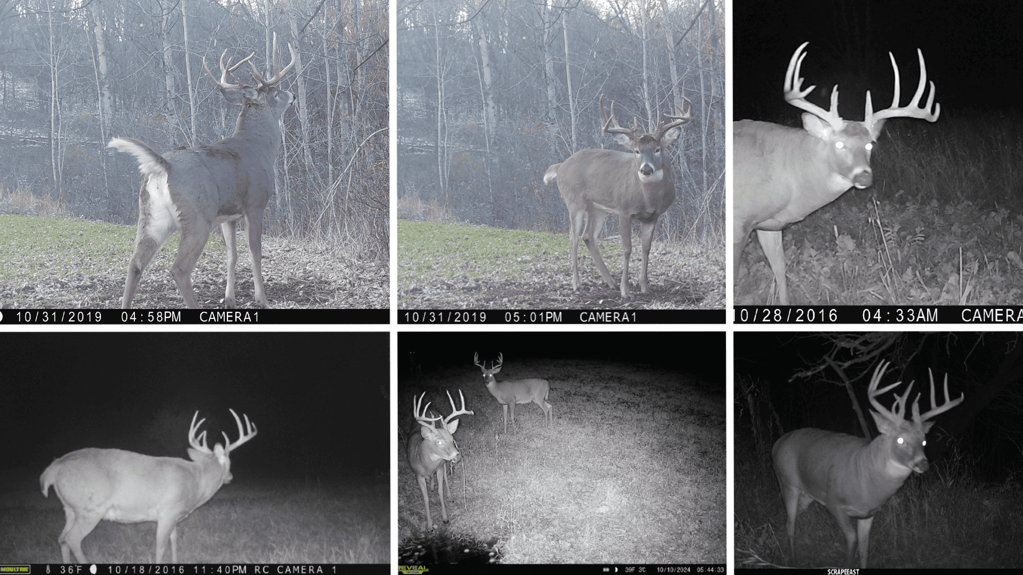 Premium Driftless Hunting Camp in Richland County, Wisconsin