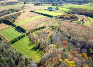Windy Ridge – Conservation Homestead – 187 ± Acres in Monroe County’s Driftless Area of Wisconsin