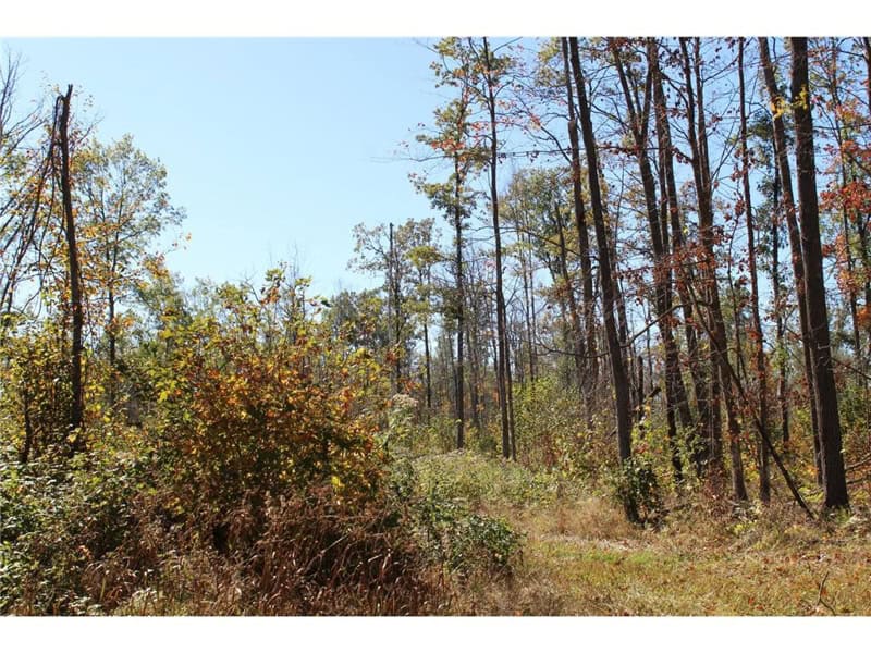 Northwoods Paradise w/ Trails & Ponds For Sale in Isle, MN