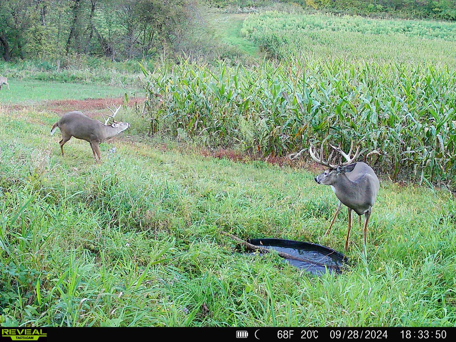 Premium Driftless Hunting Camp in Richland County, Wisconsin