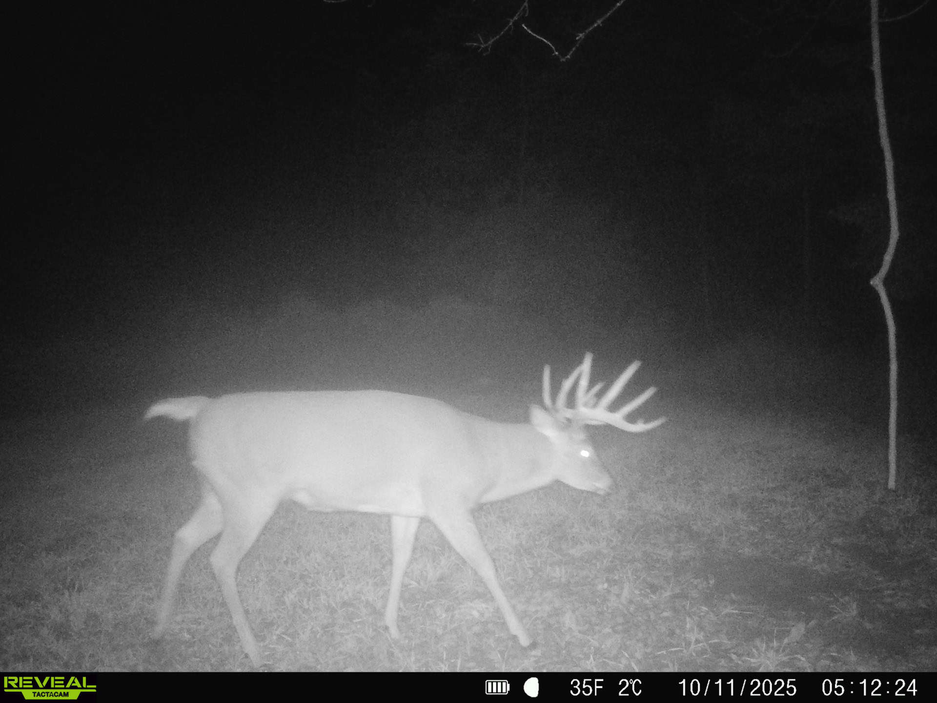 Premium Driftless Hunting Camp in Richland County, Wisconsin