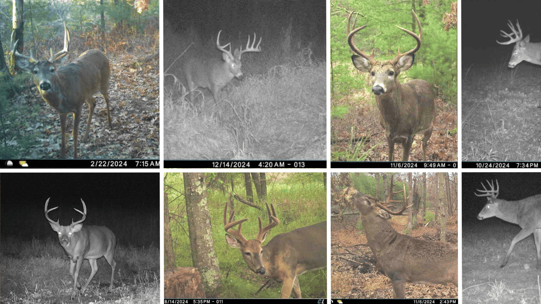 Hunting Camp for Sale in Juneau County, Wisconsin