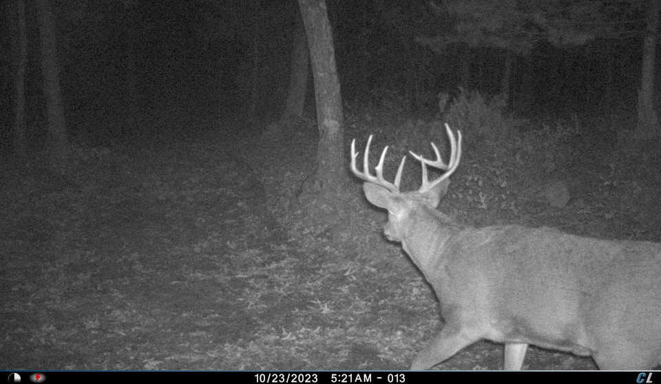 Hunting Camp for Sale in Juneau County, Wisconsin