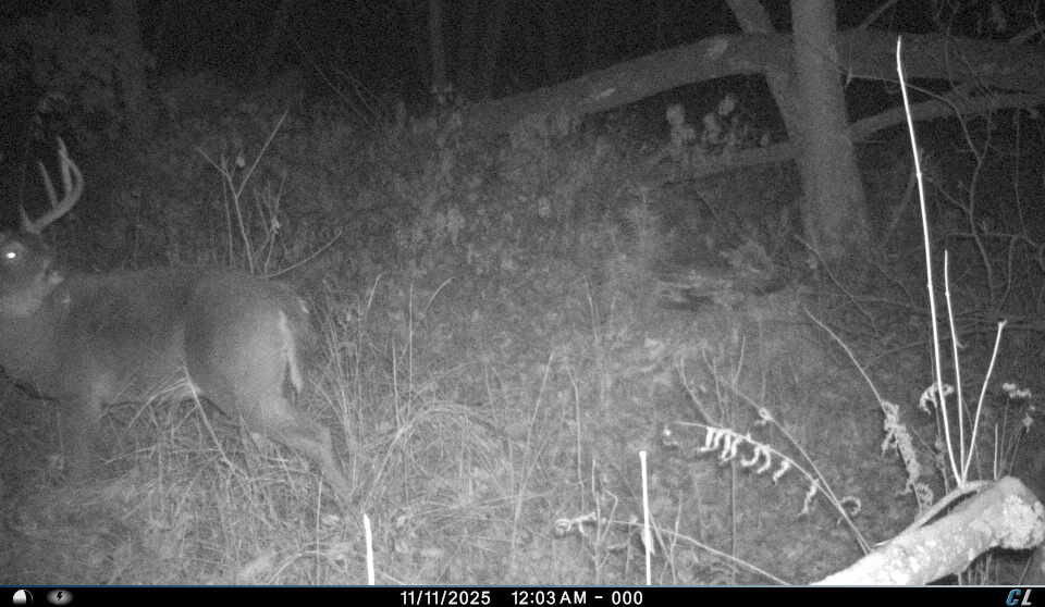 Hunting Camp for Sale in Juneau County, Wisconsin