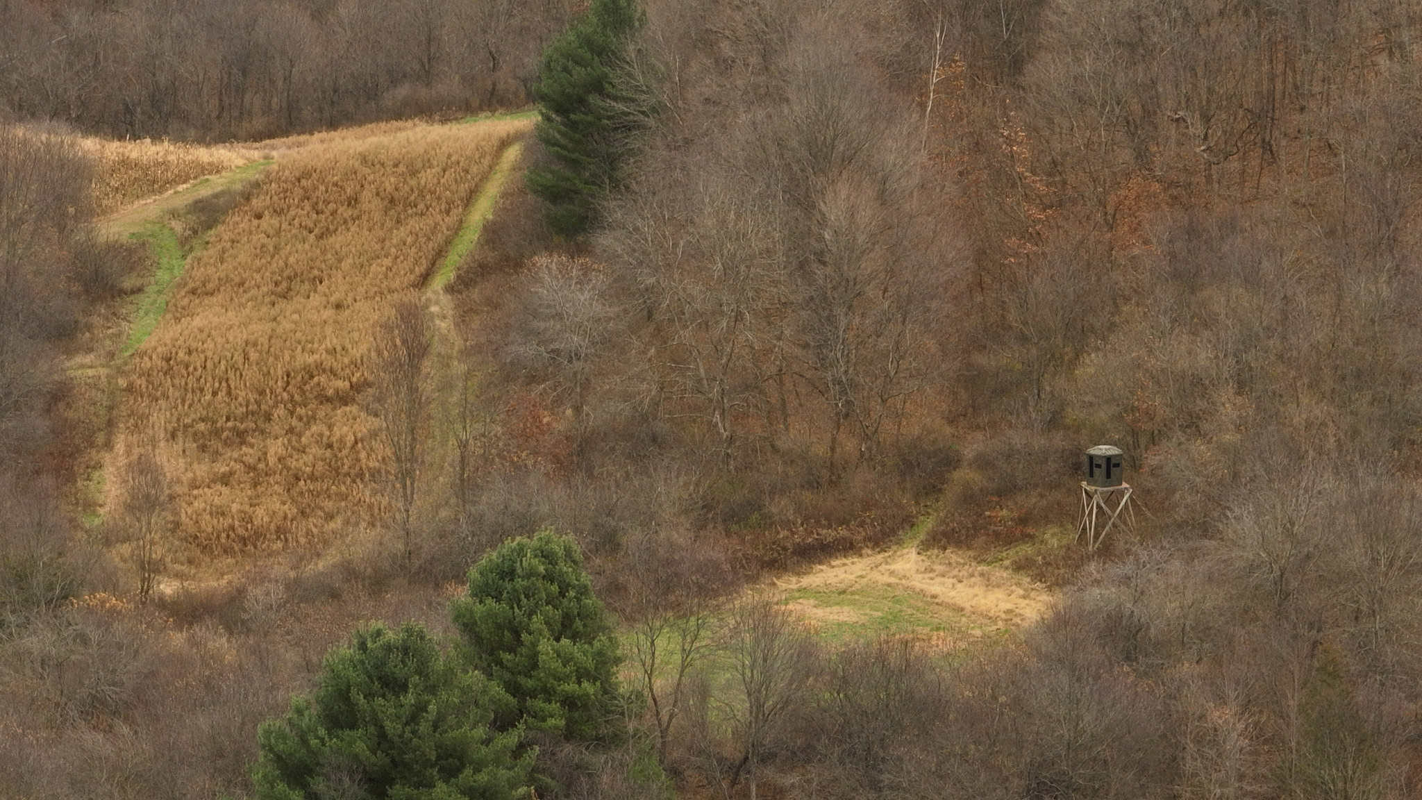 Premium Driftless Hunting Camp in Richland County, Wisconsin